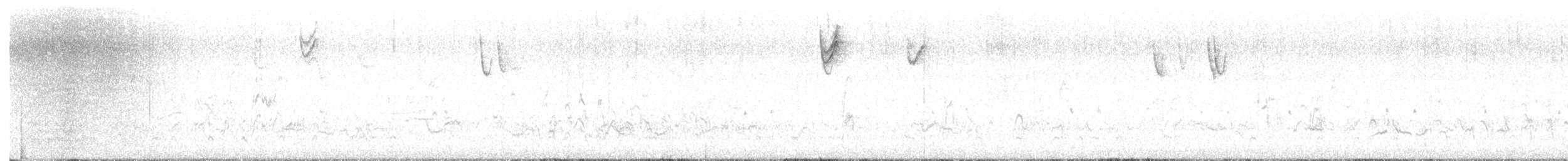 Plectrophane lapon - ML644783197