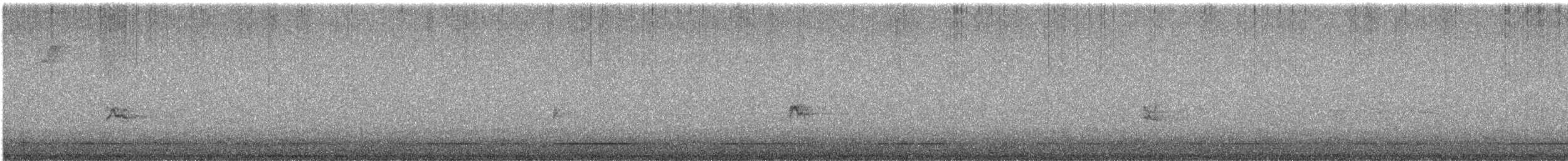 Purple Finch (Eastern) - ML644783434