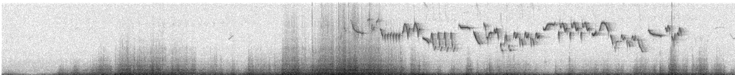 Camachuelo de Formosa - ML644784091
