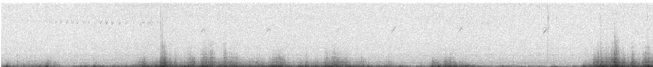 Camachuelo de Formosa - ML644784117