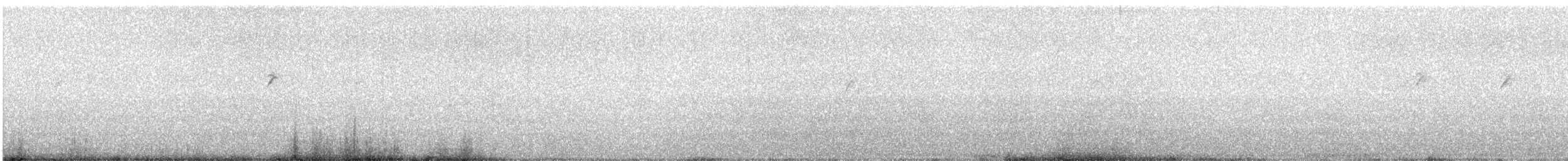 Tayvan Çütresi - ML644784308