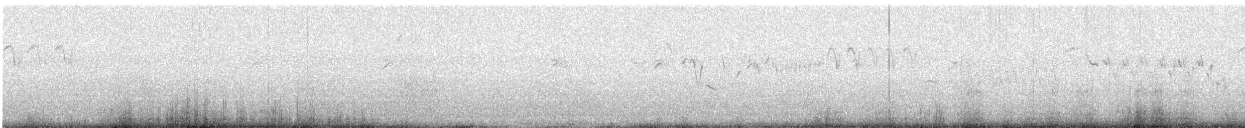 Tayvan Çütresi - ML644784378