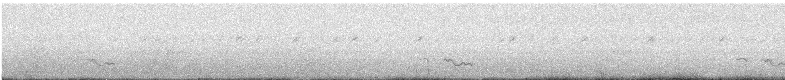 Tayvan Çütresi - ML644784422