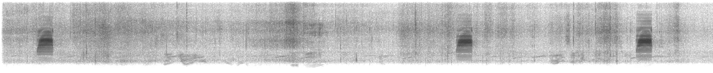 American Woodcock - ML644785028