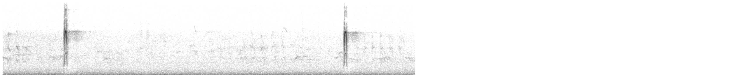 セジロコゲラ - ML644785258