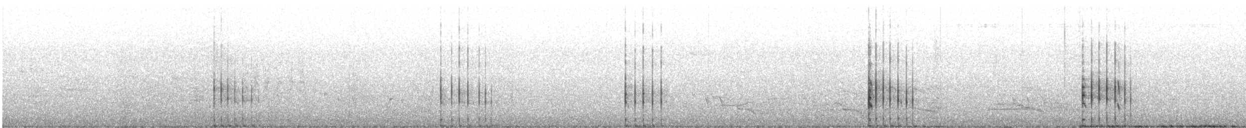 Tasmanian Nativehen - ML644785291