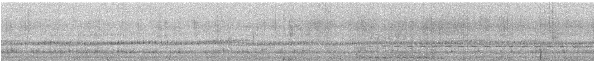 חרטומית אמריקנית - ML644785619