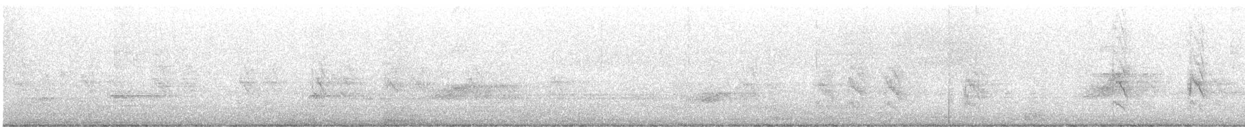 Rose-ringed Parakeet - ML644785848