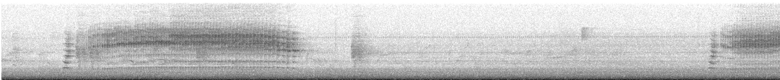 Carolina Wren - ML644786372