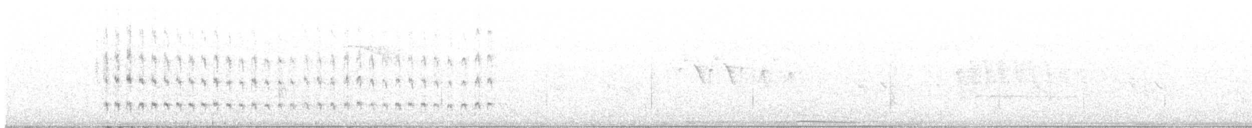 sørgedue - ML644786550