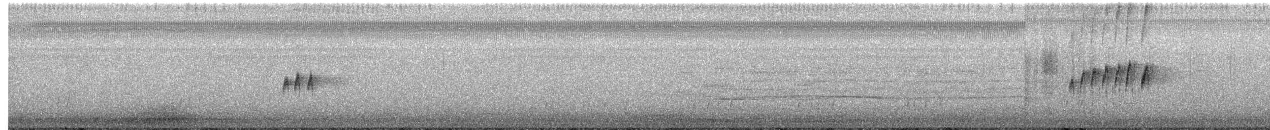 Tropical Kingbird - ML644786831