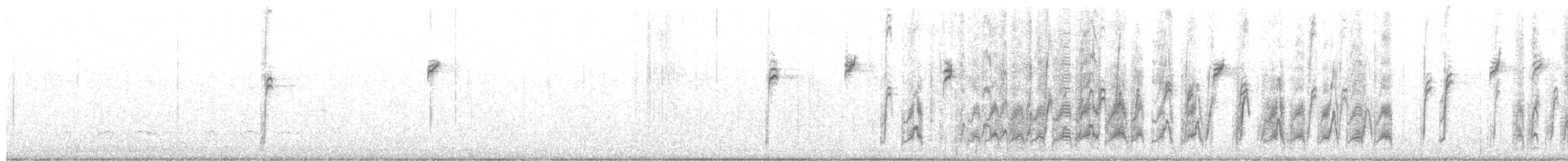 hvitkronespurv - ML644786928