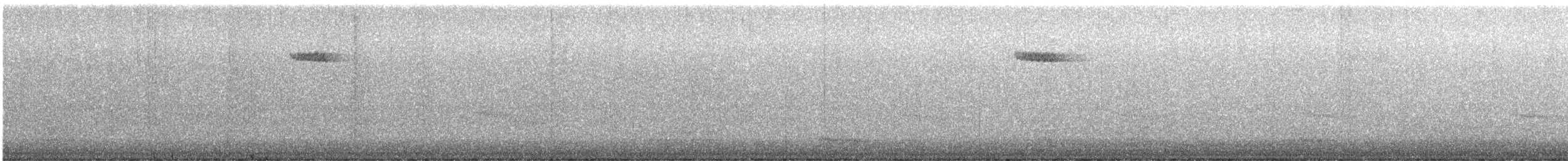 Brown Creeper - ML644788152