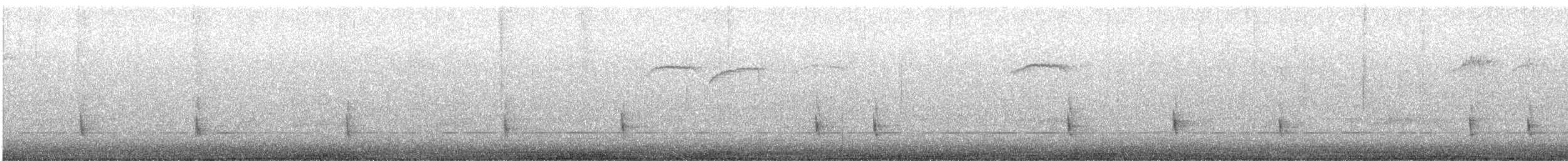 Hermit Thrush - ML644788178