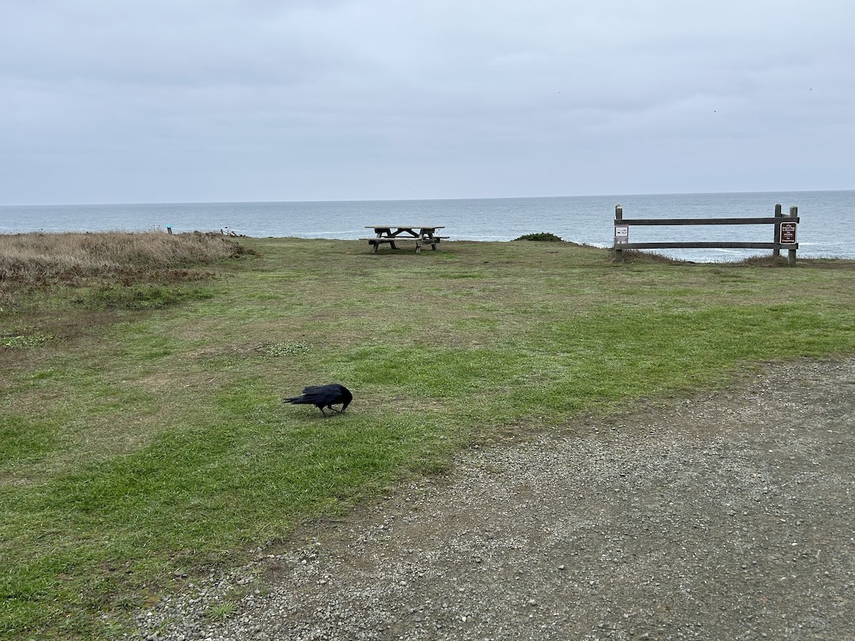 Erroi handia - ML644788298