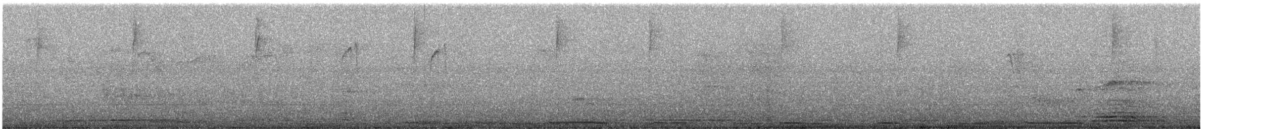 hummingbird sp. - ML644788817