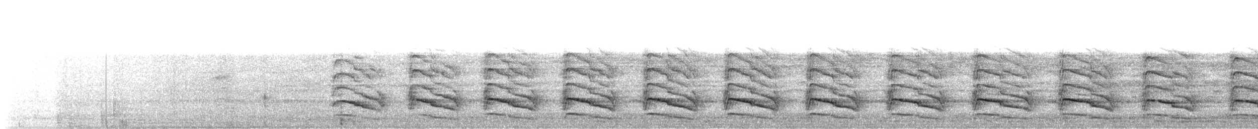 Red-shouldered Hawk - ML644788871