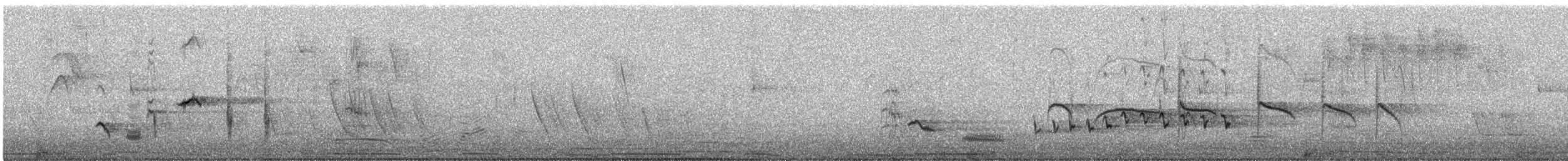 Long-tailed Mockingbird - ML644788902