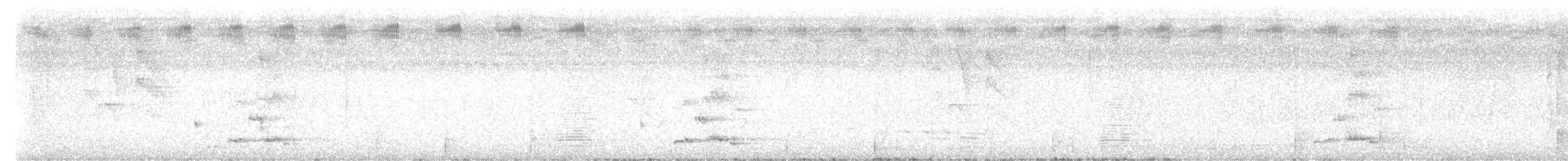 Wanderbaumelster - ML644789836