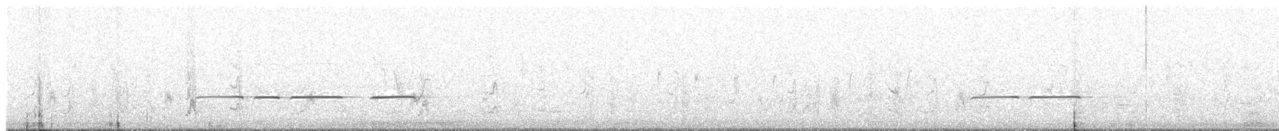 Pied Honeyeater - ML644790092