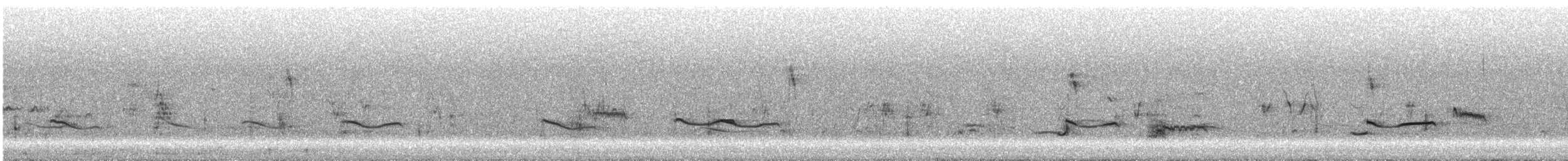 Black-bellied Plover - ML644790319