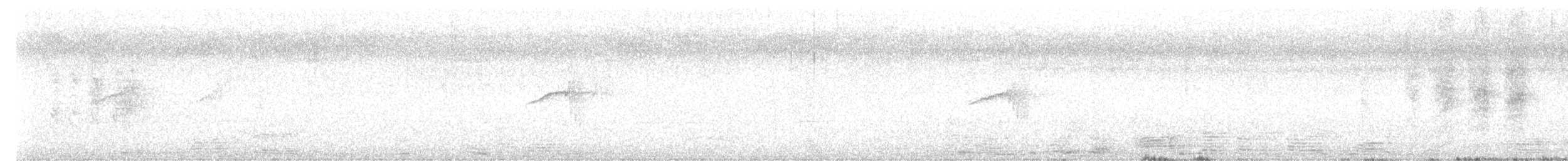 Tchitrec de paradis - ML644790389