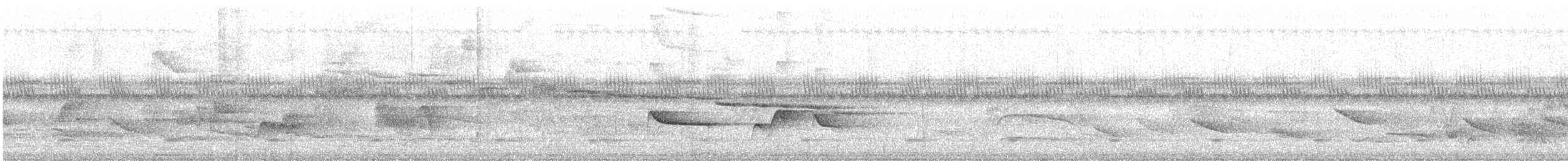 Greenish Schiffornis - ML644791449