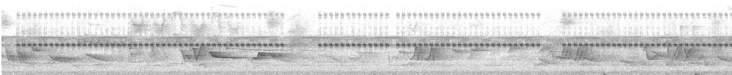 Greenish Schiffornis - ML644791453