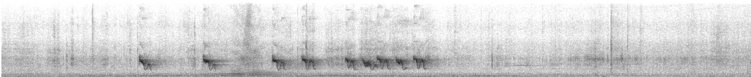 Swallow-tailed Manakin - ML644791677