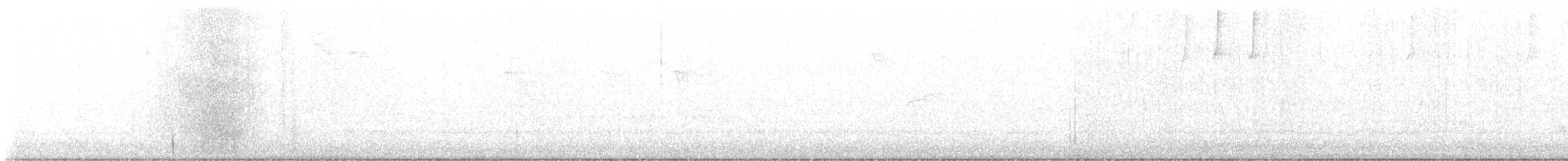 キクイタダキ - ML644791725