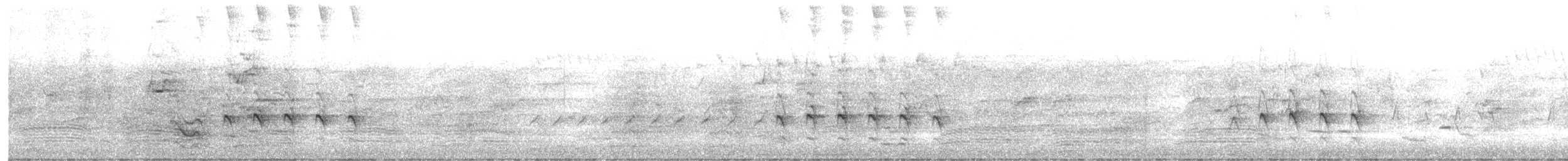 Sacred Kingfisher (Australasian) - ML644793747