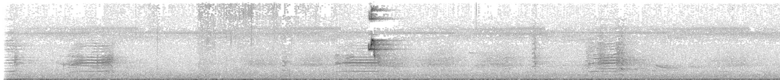 Пастушок смугастий - ML644793760