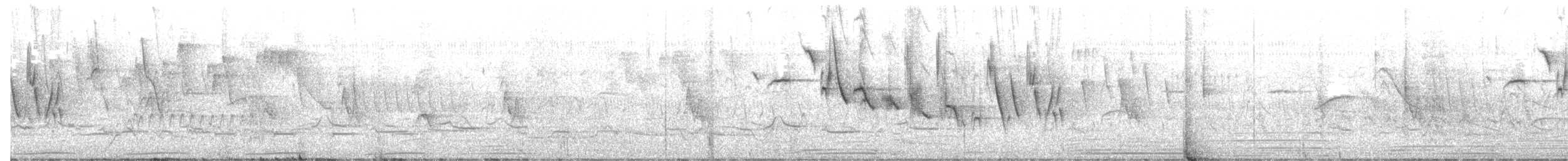 Double-collared Seedeater - ML644794091