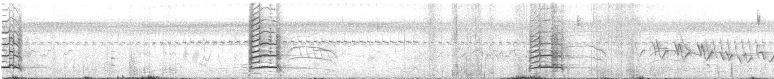 Giant Wood-Rail - ML644794127