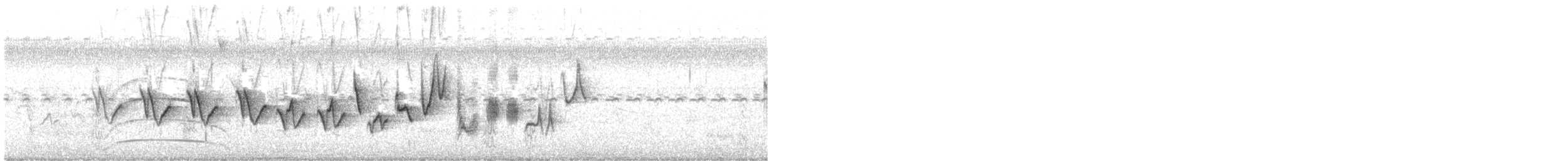 Southern Yellowthroat - ML644794138