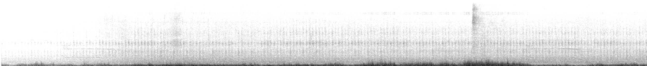 Black Woodpecker - ML644794355