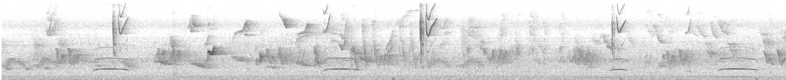 Swallow Tanager - ML644795235