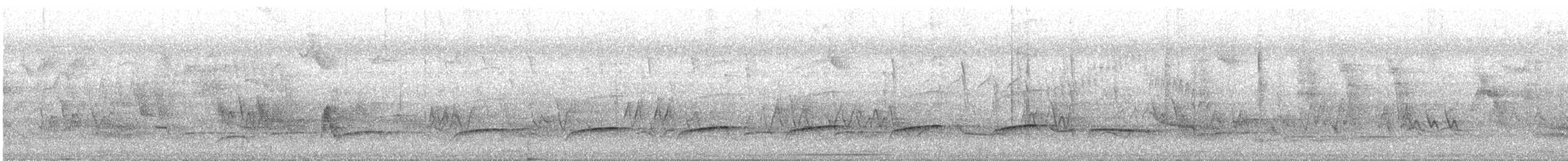 Gray-hooded Attila - ML644795259