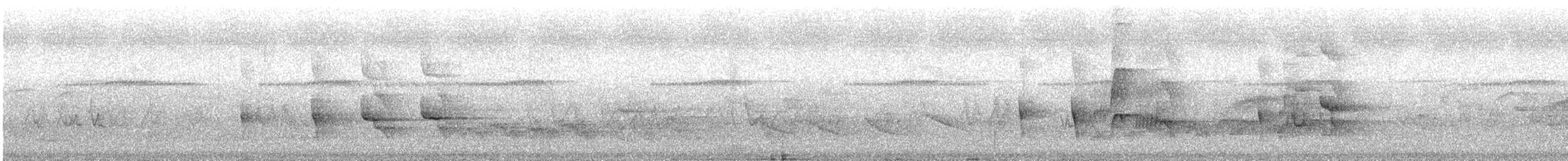 Serra do Mar Tyrant-Manakin - ML644795280