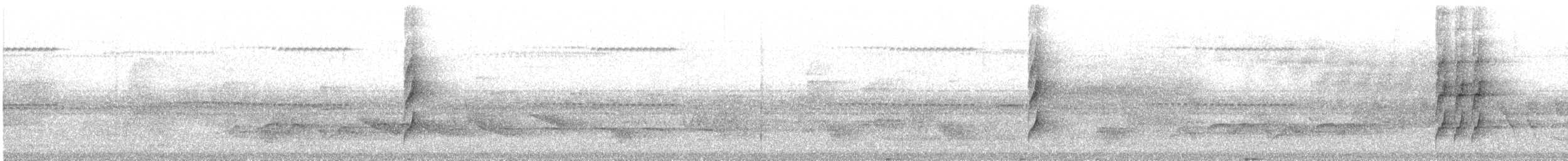 White-throated Spadebill - ML644795306