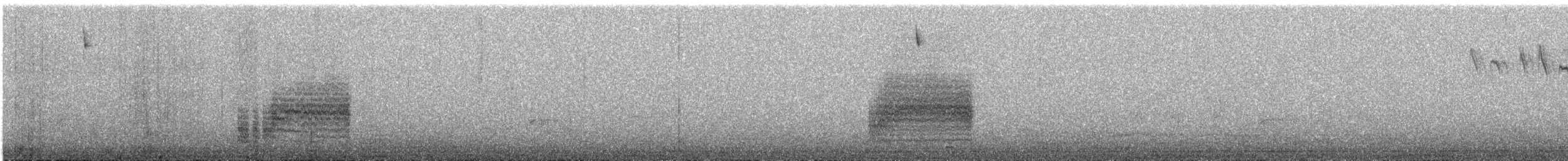 musesmett - ML644795411