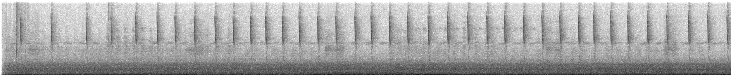 Buff-bellied Hummingbird - ML644795580