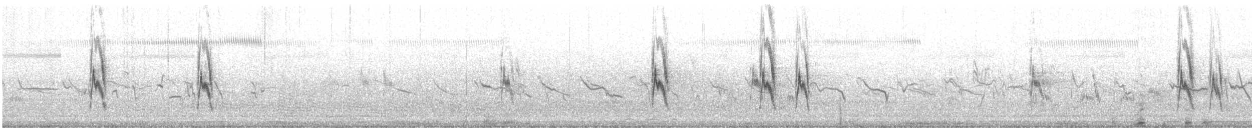 Richard's Pipit - ML644795878