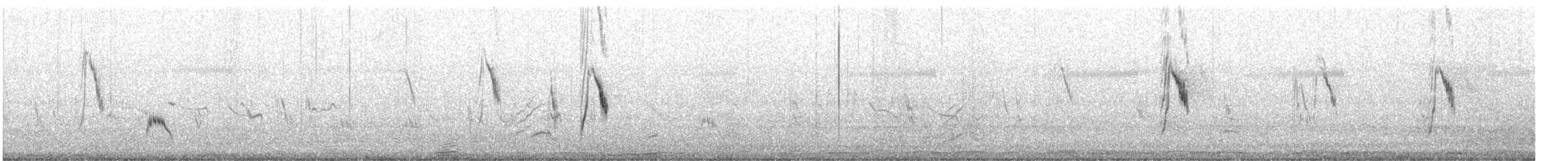 Lavandera Boyera - ML644795898