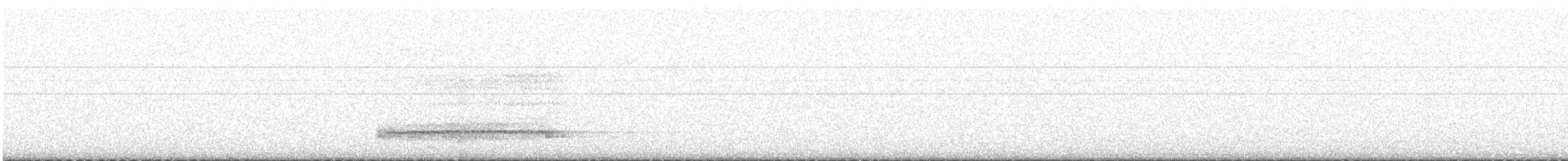 Western Barn Owl - ML644796207