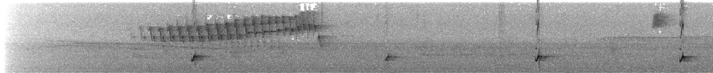 Сизый щетинколоб - ML644796999