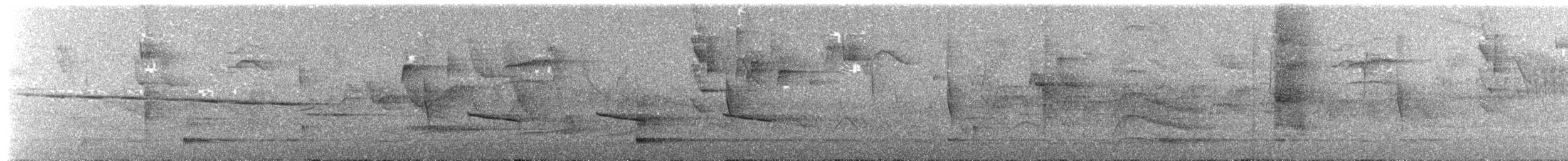 White-browed Woodpecker - ML644797029