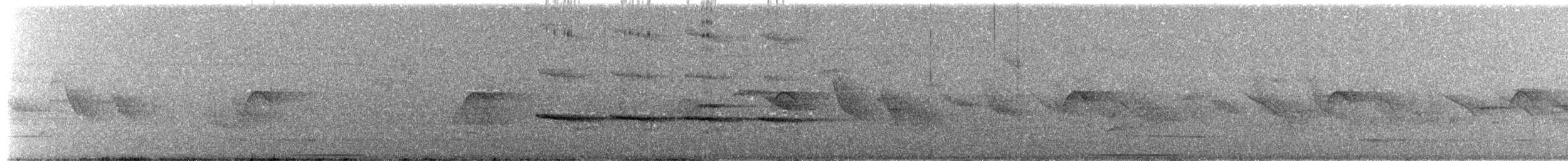 White-browed Woodpecker - ML644797030