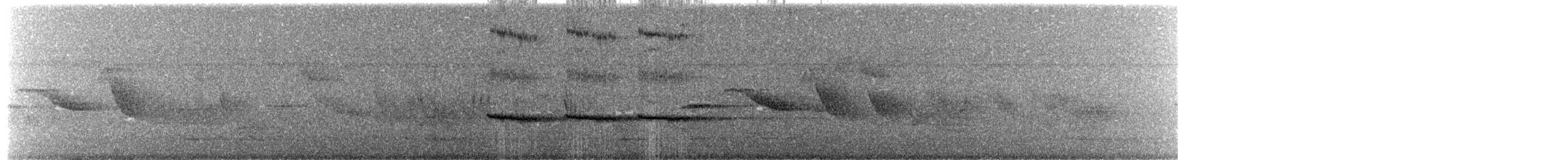 White-browed Woodpecker - ML644797031