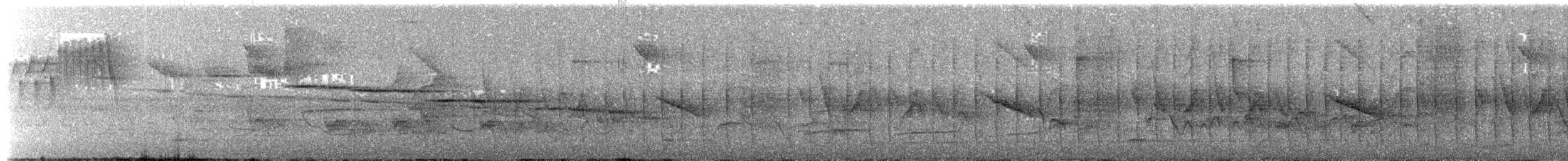 gråhodetreløper (sylviellus/olivaceus) - ML644797047